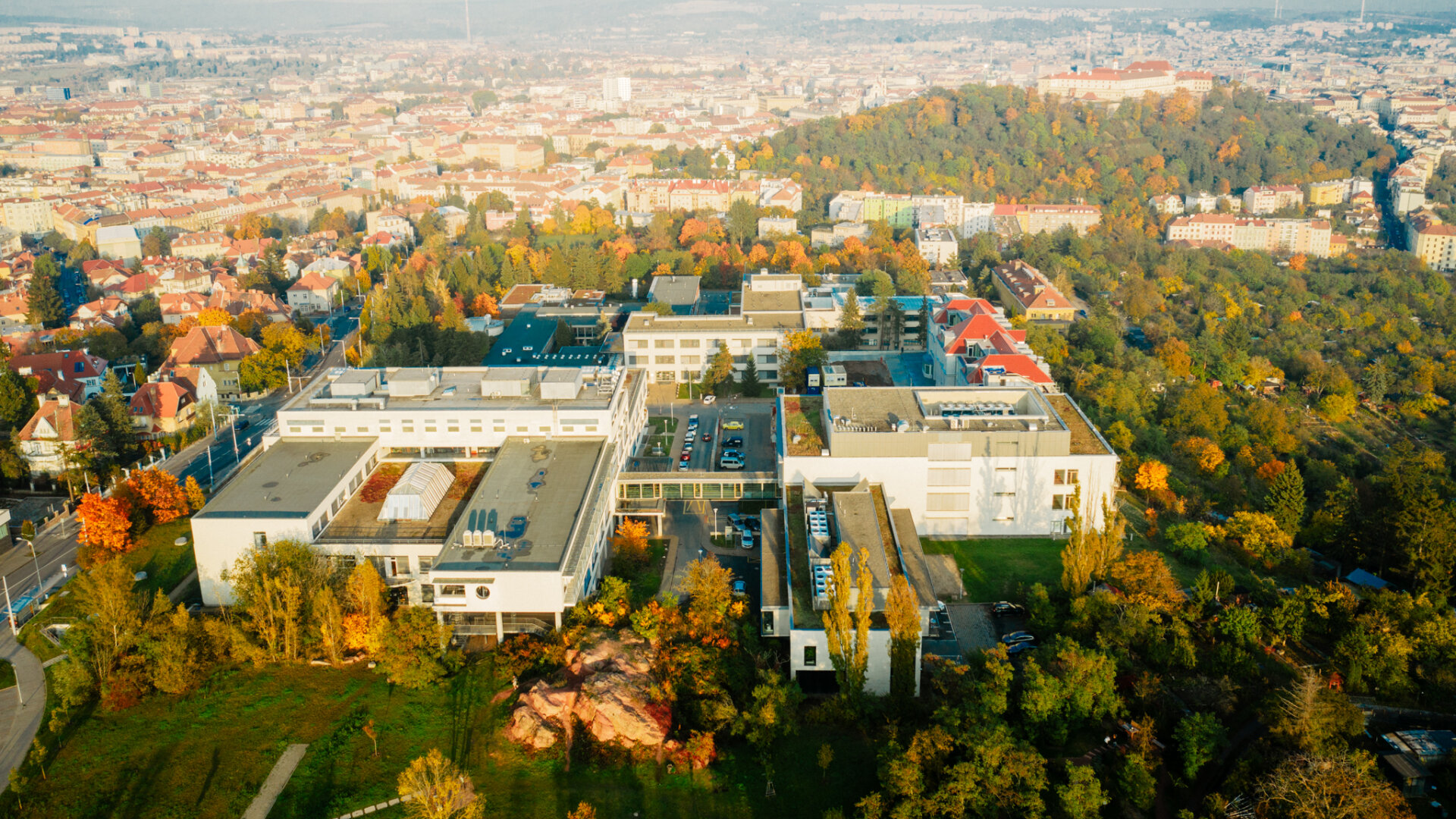 Den_11_LETECKE_001